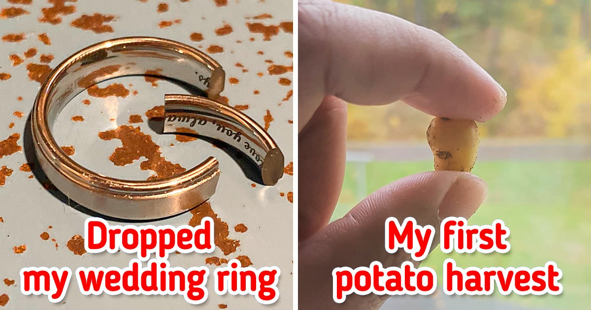 17 People Who Are Waiting for Their Luck to Return From Vacation
