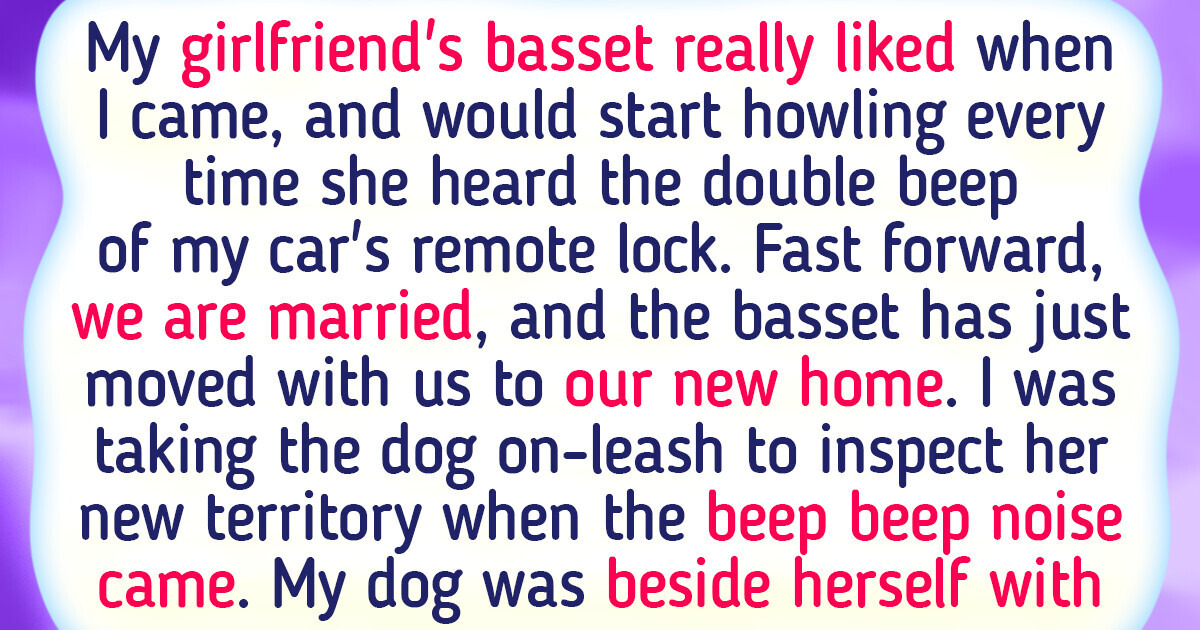 15 Stories That Prove Life Without a Furry Friend Is Eternal Boredom 15 Stories That Prove Life Without a Furry Friend Is Eternal Boredom