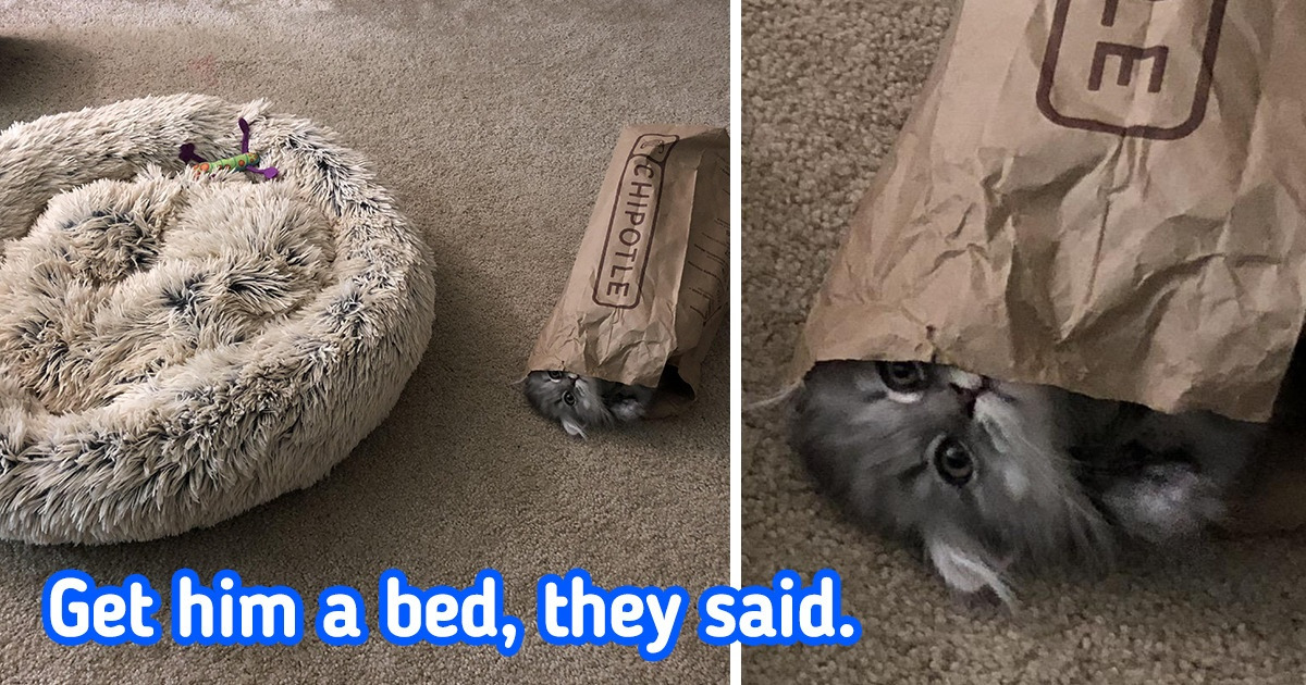 15 People Whose Fail-ometer Reached the Highest Level Possible