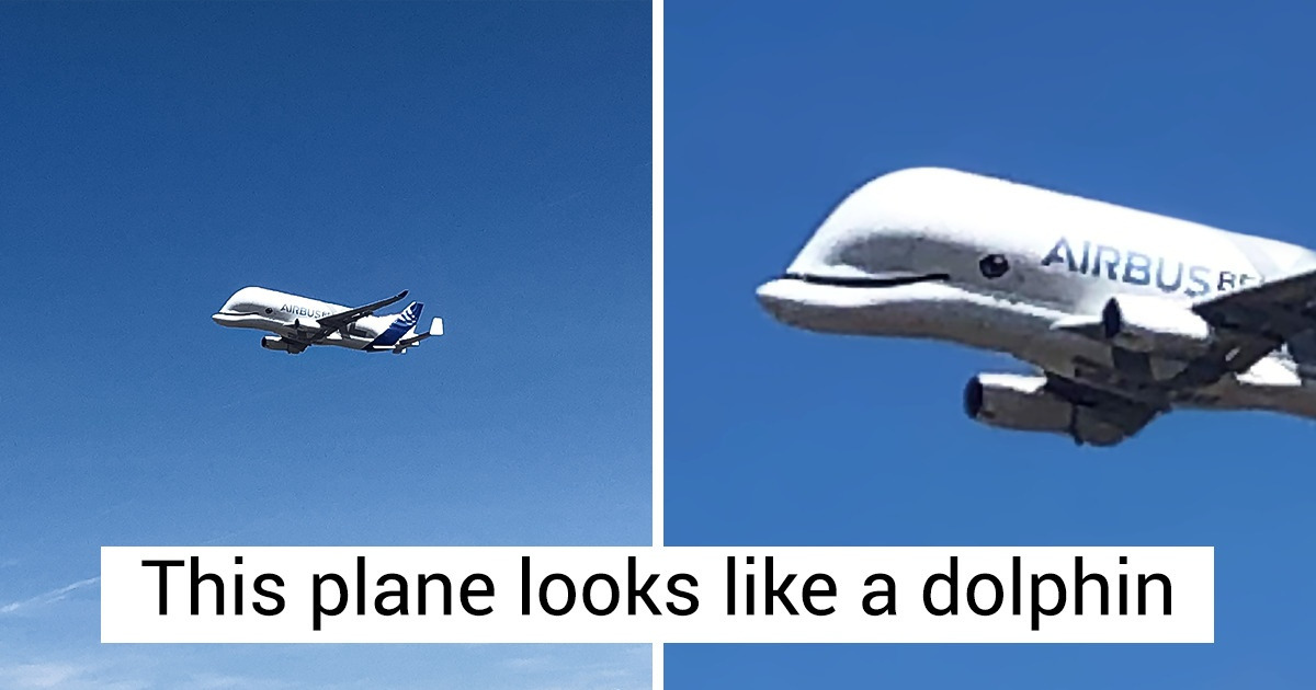 19 Lucky People Who Stumbled Upon Really Cool Surprises