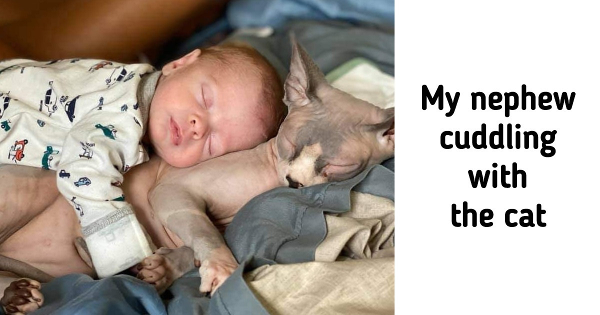 15 Tender Photos That Are As Comforting As Clean Bed Sheets