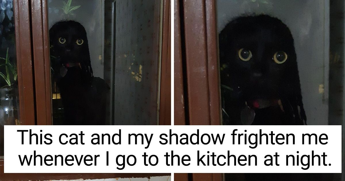 15 Thrilling Photos That Instantly Kick Boredom Away