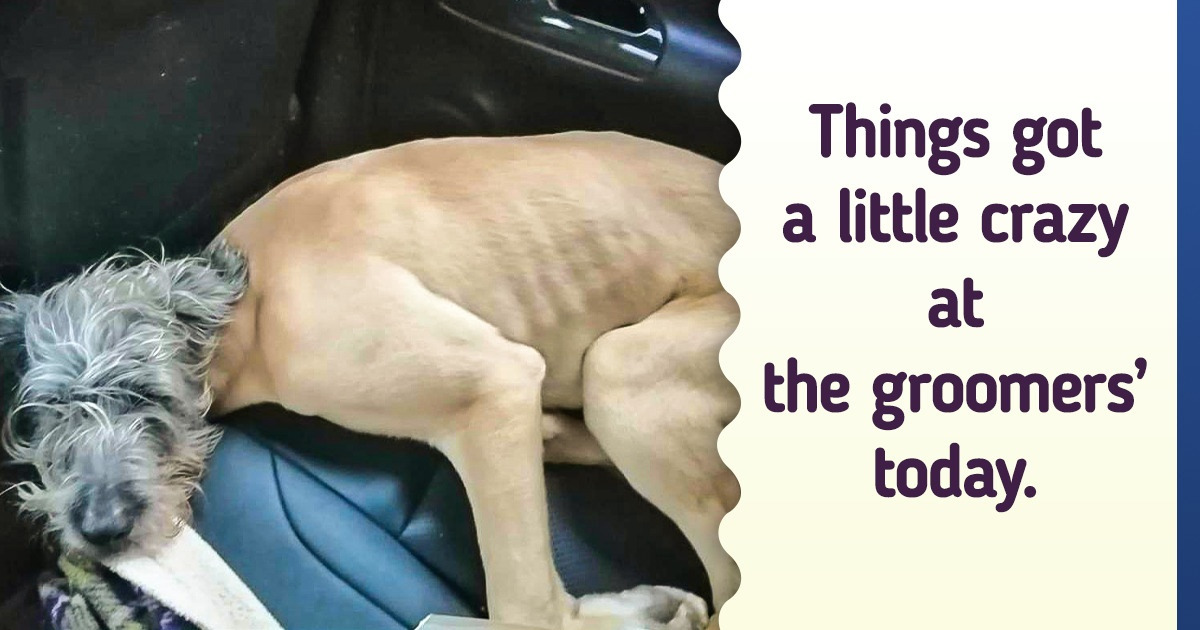 15 Images That Trick Our Minds Into Seeing Optical Illusions