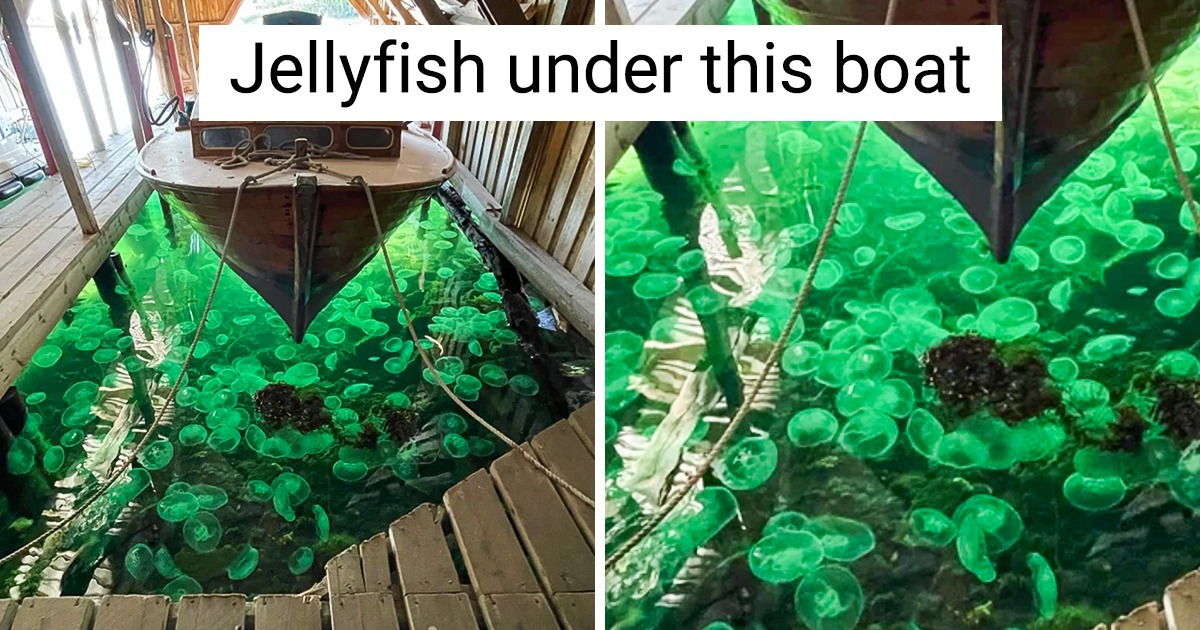 18 Photos That Prove Life Is Like a Surprise Gift Bag
