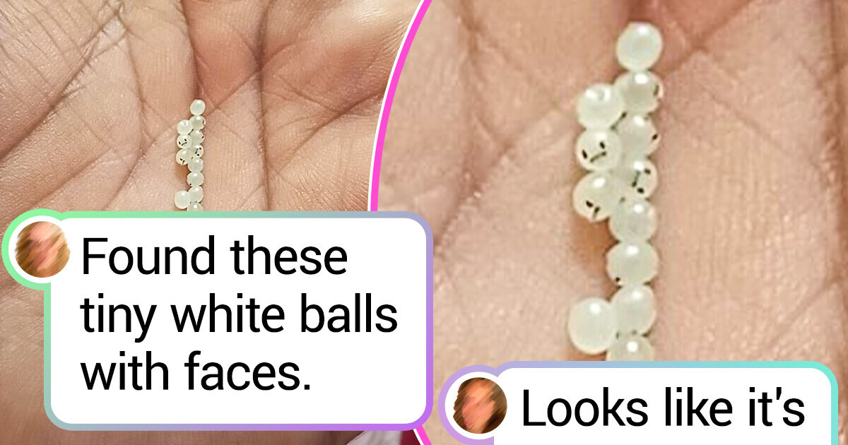 15 Mysterious Objects That Appear Too Tricky Even for Google, but Not for Clever Online Users