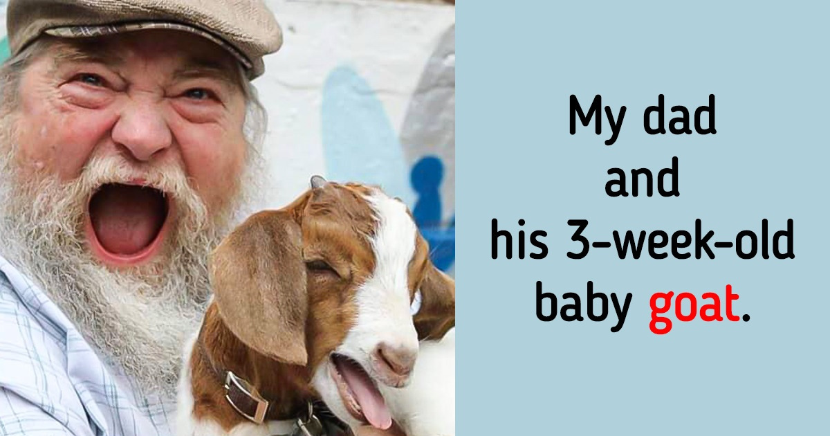 18 Pics That Will Make You Grin From Ear to Ear