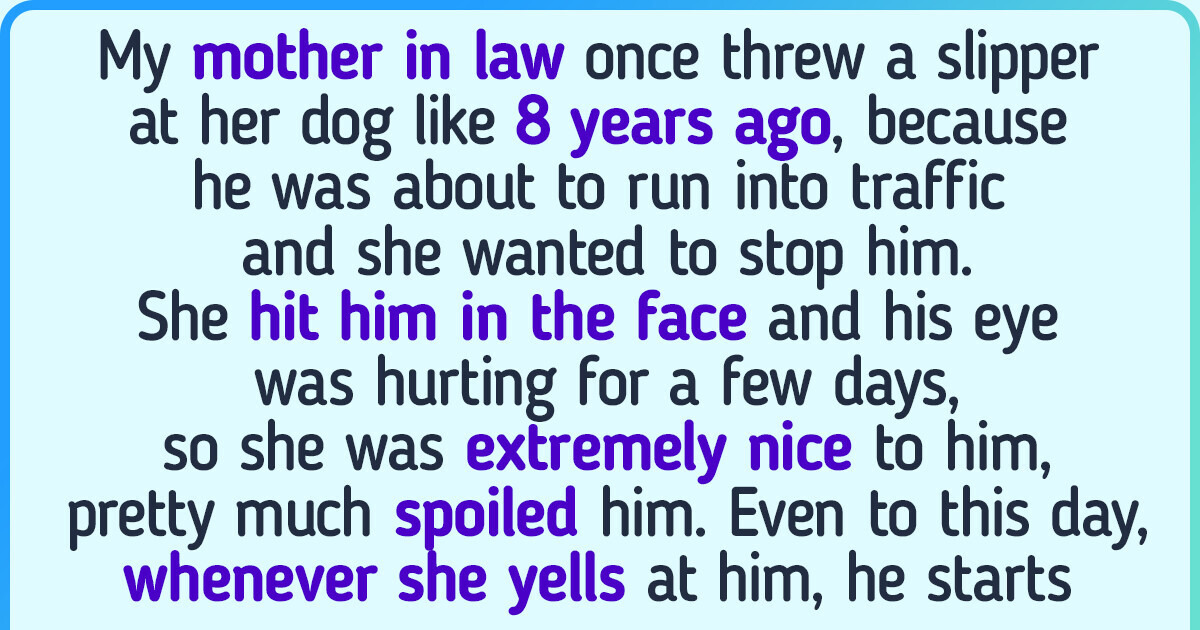 20 Animals Who Made Us Believe They Can Easily Trick Us and Show Their Smarts 20 Animals Who Made Us Believe They Can Easily Trick Us and Show Their Smarts