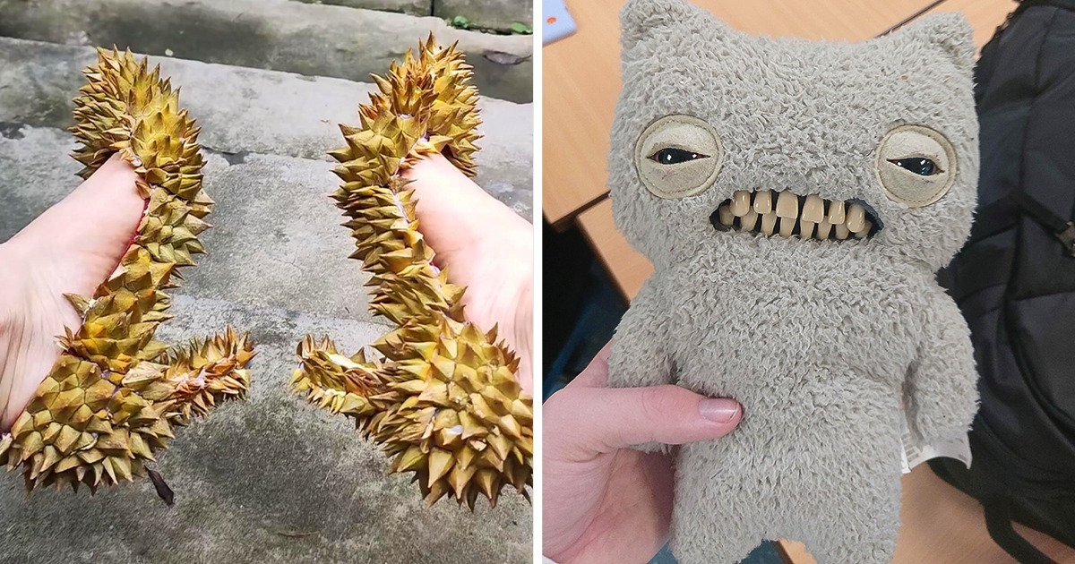 16 Things That Will Make You Feel Confused But Also Amused
