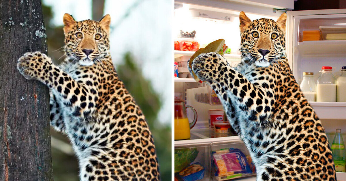 15 People Who Displayed Their Excellent Skills in Hilarious Photoshop Battles 15 People Who Displayed Their Excellent Skills in Hilarious Photoshop Battles