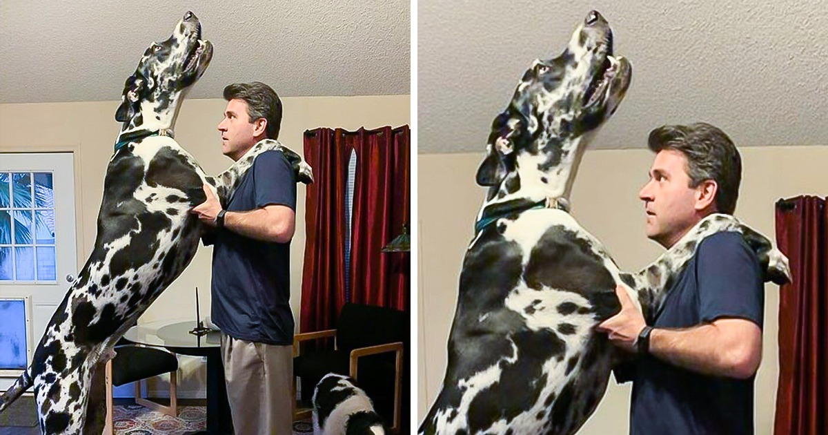 19 Oversized Things We Can’t Believe Actually Exist