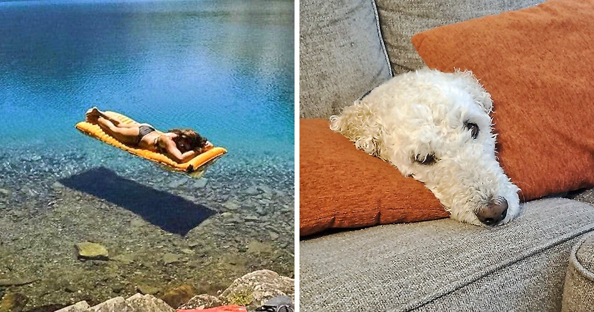 18 Pics That “Catfished” Us Right Before Our Very Eyes