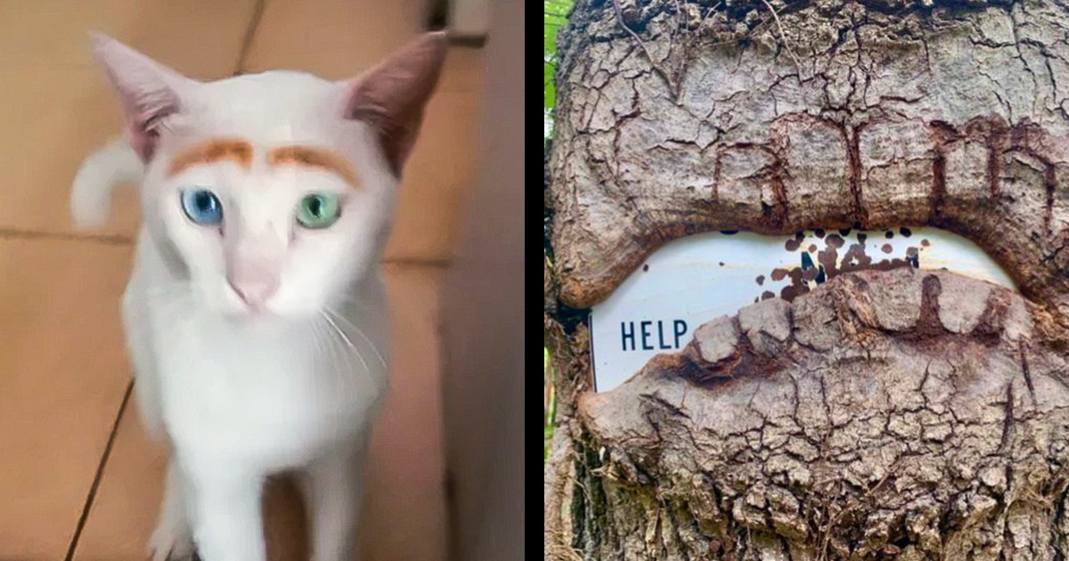 18 Photos That Prove How Mother Nature Never Ceases to Amaze Us