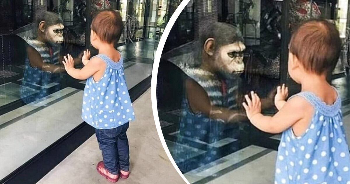 15+ Weird Pictures That Will Make You Doubt Reality