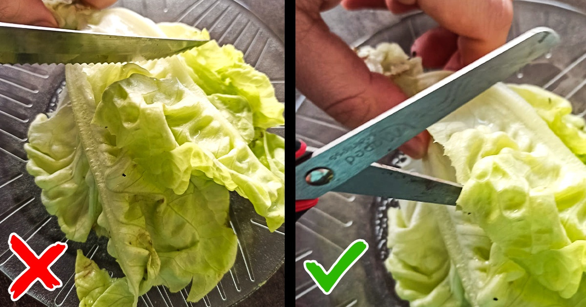 10 Etiquette Rules You Should Know About When You Visit Other Countries