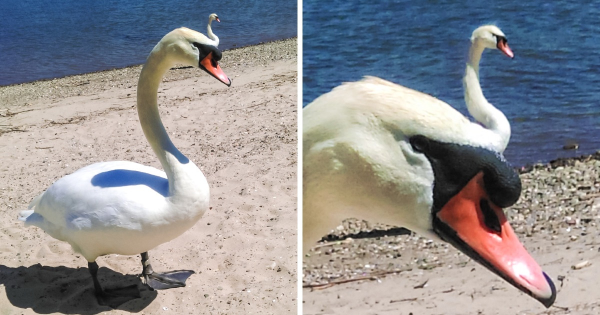 18 Photos That Will Draw You In the More You Look at Them