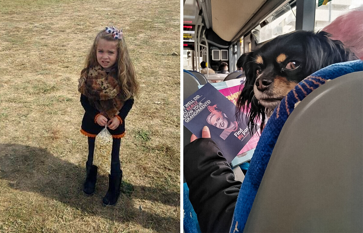 17 Confusing Pictures Taken a Second Too Soon (or Too Late)
