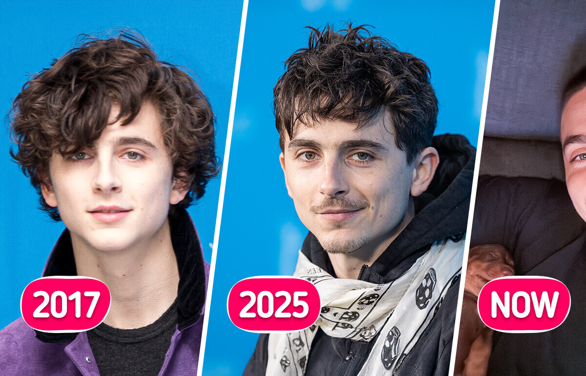 “The Crush Is Over,” Timothée Chalamet’s Dramatic New Look Harshly Confused Everyone