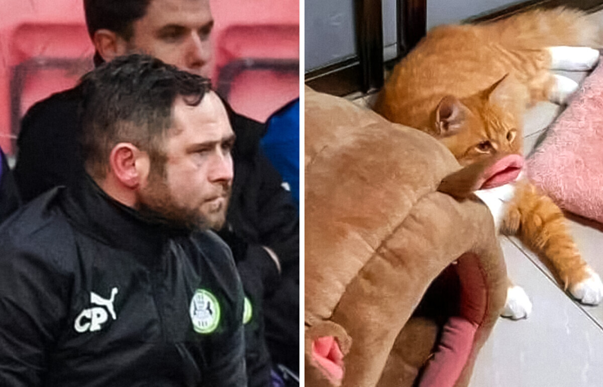 18 Optical Illusions Caught by Accident — No Photoshop Needed