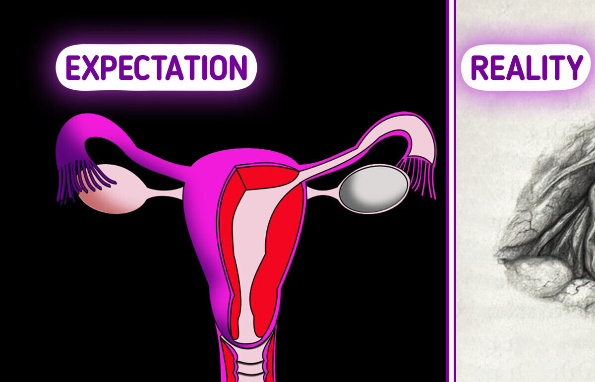 10 Wild Facts About the Human Body You’ve Probably Never Heard 10 Wild Facts About the Human Body You’ve Probably Never Heard
