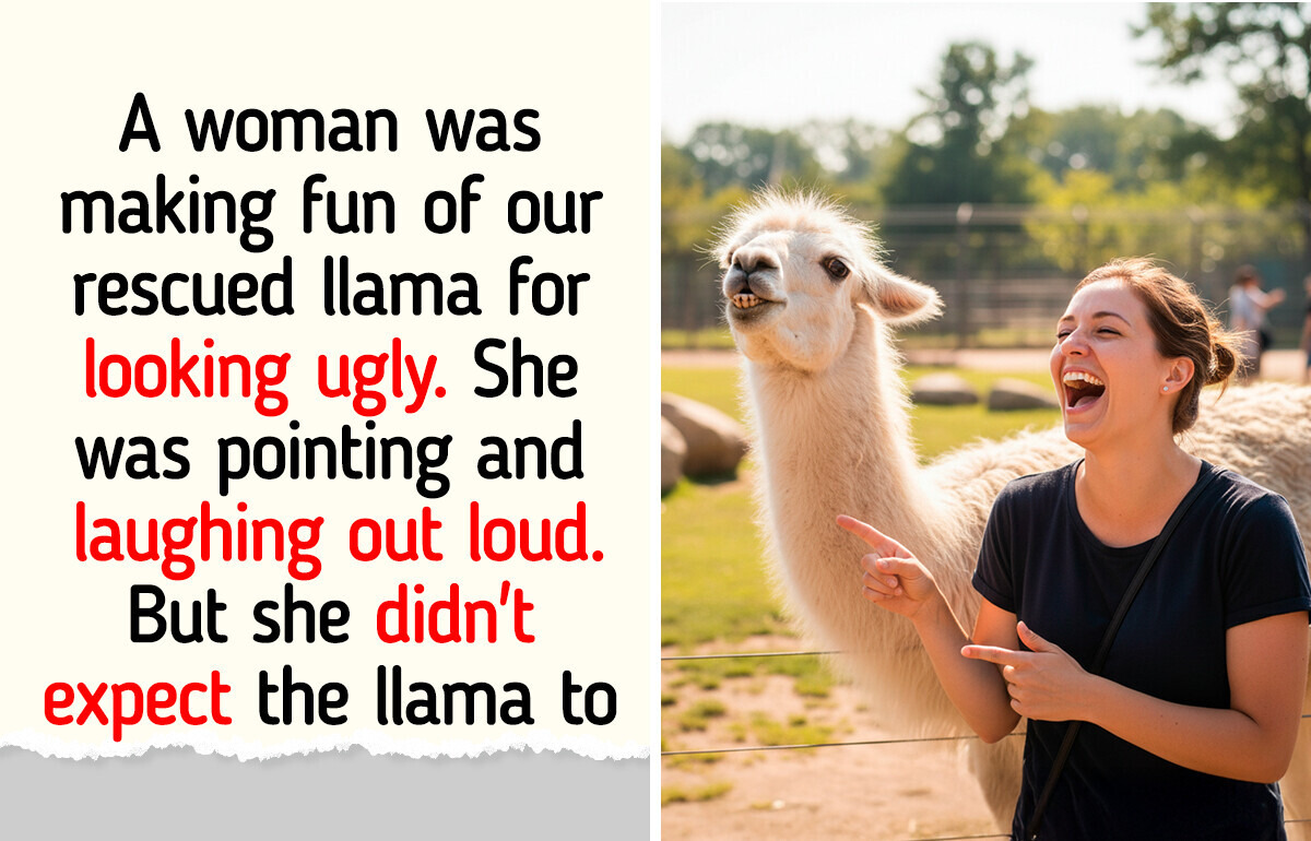 13 Stories Where Karma Played Judge and Won 13 Stories Where Karma Played Judge and Won