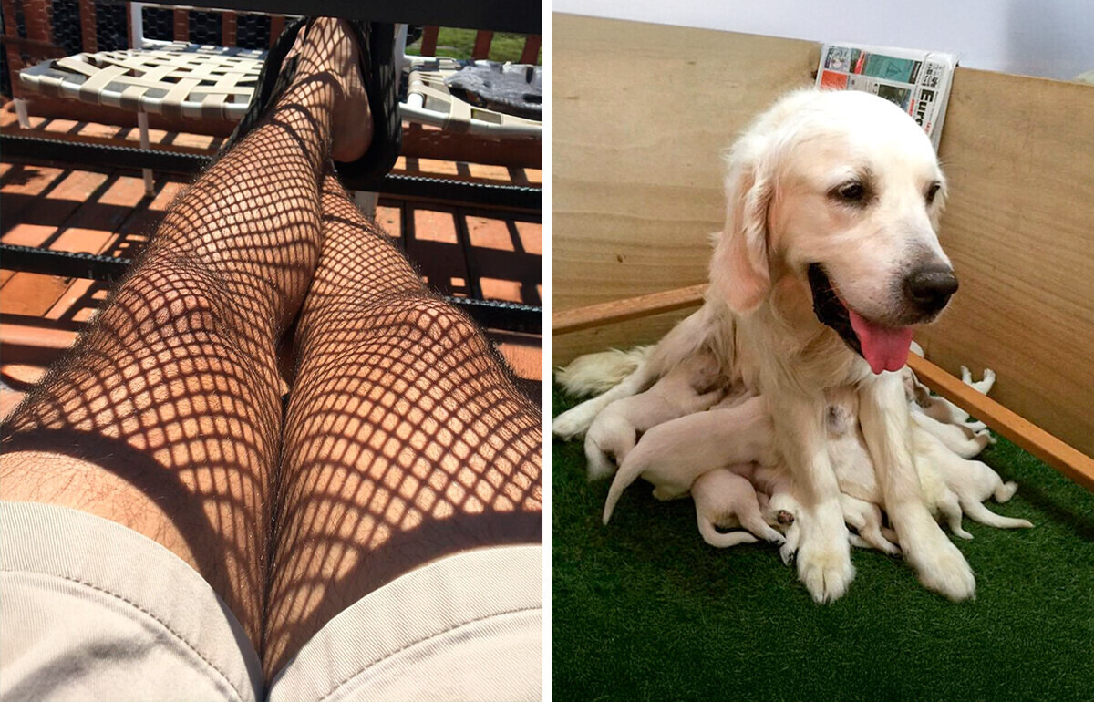 20+ Times We Looked Twice Before Realizing What Was Really Happening