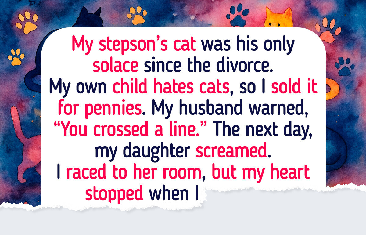 I Let the Cat Go and My Family Fell Apart I Let the Cat Go and My Family Fell Apart