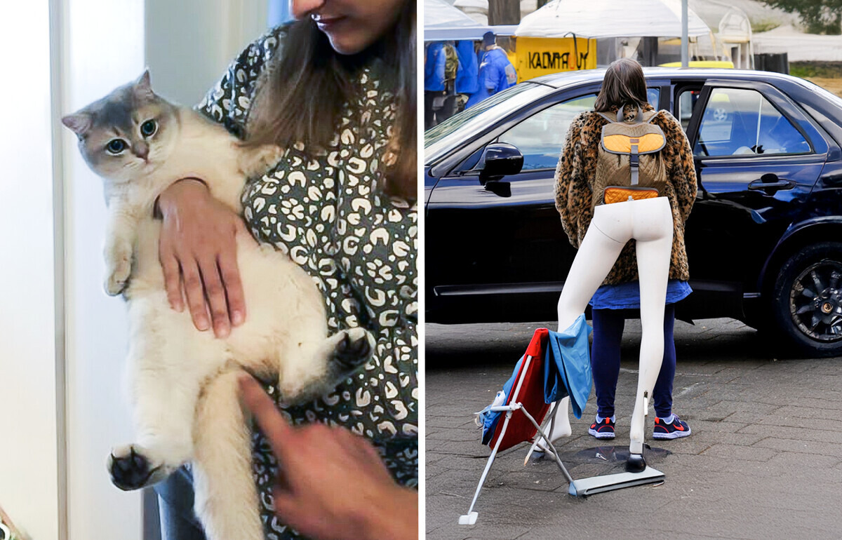 12 Pictures That Prove Reality Can Be Seriously Misleading