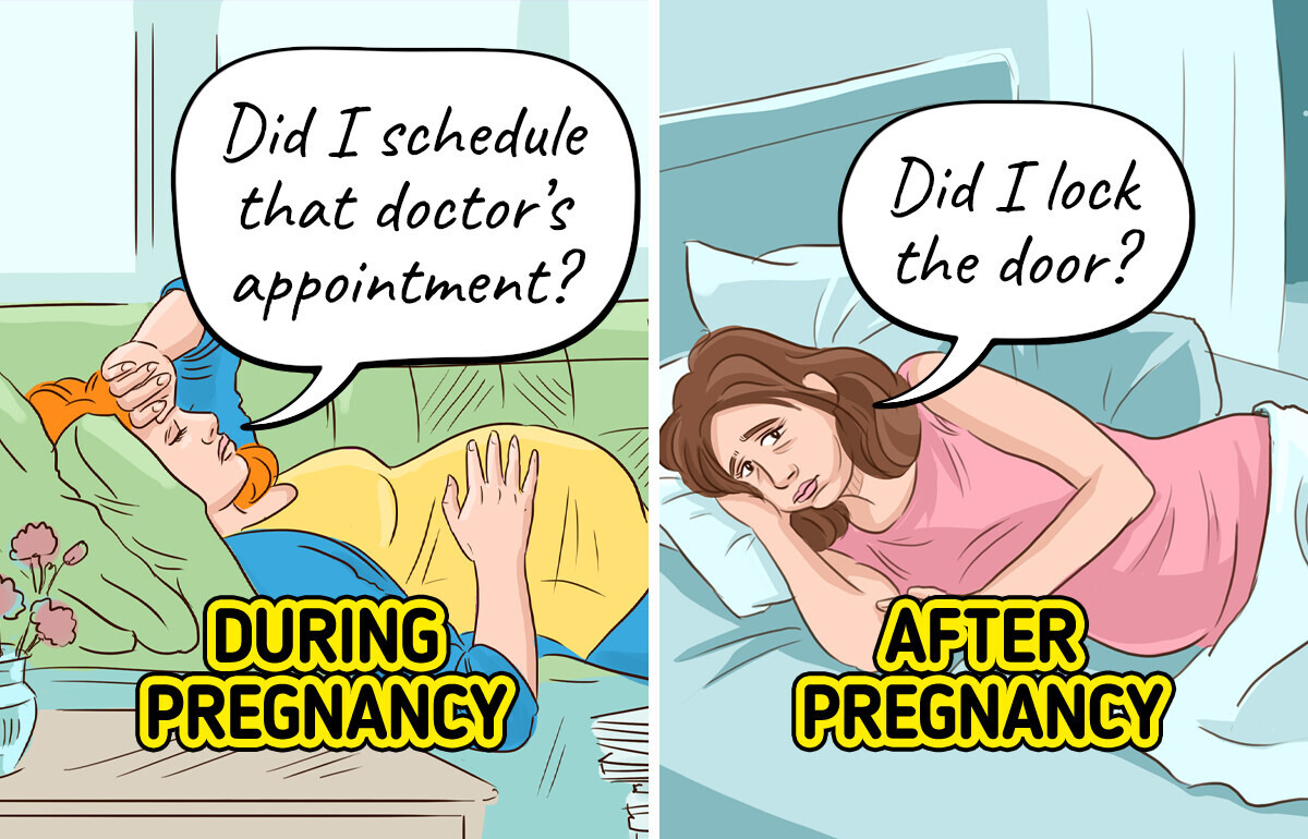 How Pregnancy Permanently Reshapes the Brain