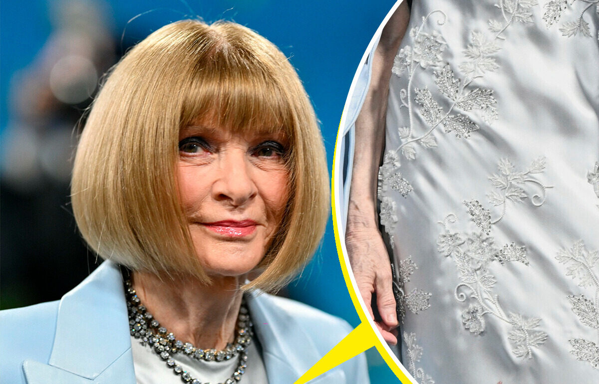 Anna Wintour’s Met Gala Look Seemed Flawless, Until Fans Spotted Tiny Fatal Detail
