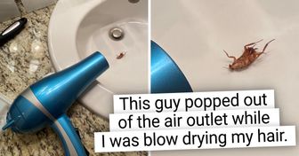 15 People Whose Day Went Sideways Quickly