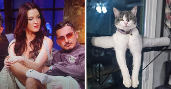 20 Photos That Feel Like Your Eyes Are Lying to You