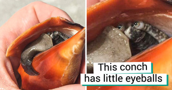 20 Rare Things People Witnessed That They Won’t Be Able to Unsee