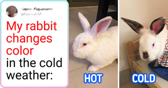 15 Mother Nature Surprises That People Caught on Camera
