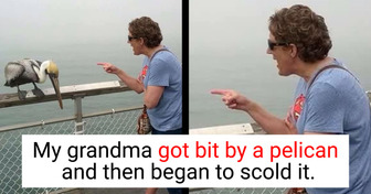 18 People Whose Lives Turned Into a Comedy Scene