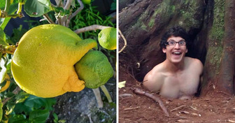 17 Real Photos That Need a Detective to Figure Them Out