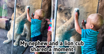 15+ Kids Who Know How to Turn an Usual Day Into a Great Adventure