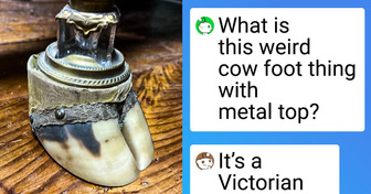 15+ Curious Finds Whose True Purposes May Surprise and Amuse You
