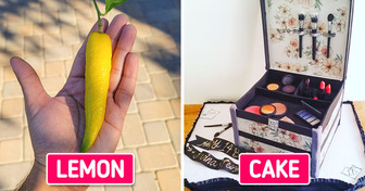 15+ Times Our Eyes Were Fooled by Things Pretending to Be Something Else