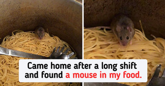 20 Times People’s Patience Was Stretched to the Limit
