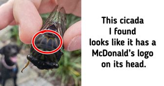 17 People Who Stumbled Upon Truly Amazing Coincidences