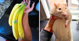15 People Who Found Something Amazing When They Least Expected It