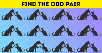 Find The Odd One Out in 12 Images to Exercise Your Brain Like a Champion
