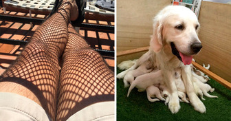 20+ Times We Looked Twice Before Realizing What Was Really Happening
