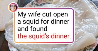 20 People Who Had an Amusing Twist to Their Day