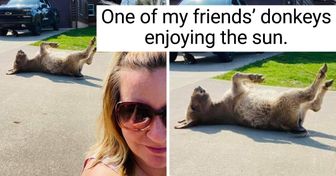 20 Pics That Give Us an Instant Boost of Happiness