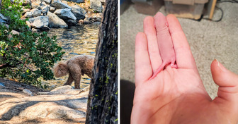 What Do You See? These 15 Confusing Photos Will Challenge Your Brain