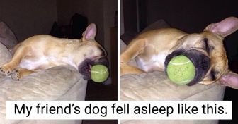 18 Pics That Will Make You Aww and Laugh at the Same Time