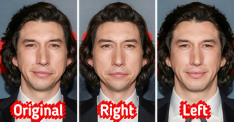 The Symmetry Standard: How Hollywood’s Stars Measure Up to Perfect Faces