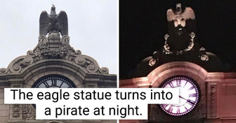 15 Times People Saw Something That Left Them Mystified