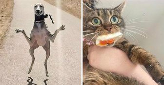 18 Animals Who Prove That There Is No Such Thing As Being Normal